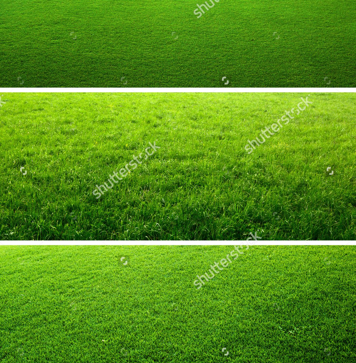 Comparison of a worn-out and a freshly maintained green grass field.