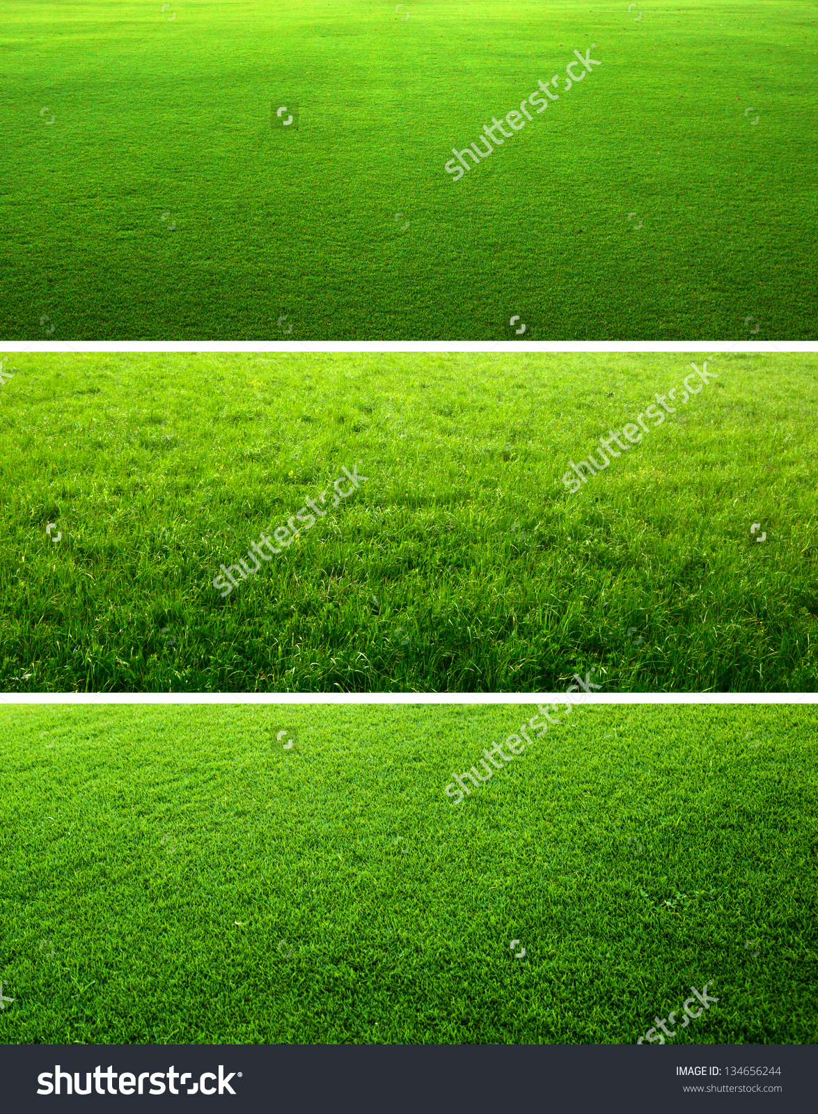 Comparison of a worn-out and a freshly maintained green grass field.