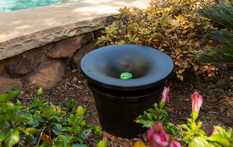 A black bird bath with a green frog figurine in a garden.
